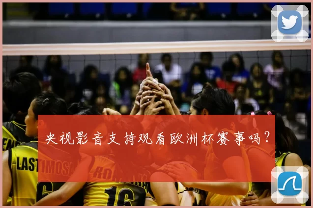 央视影音支持观看欧洲杯赛事吗?