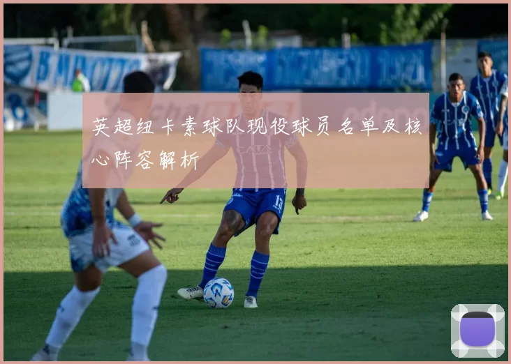 英超纽卡素球队现役球员名单及核心阵容解析