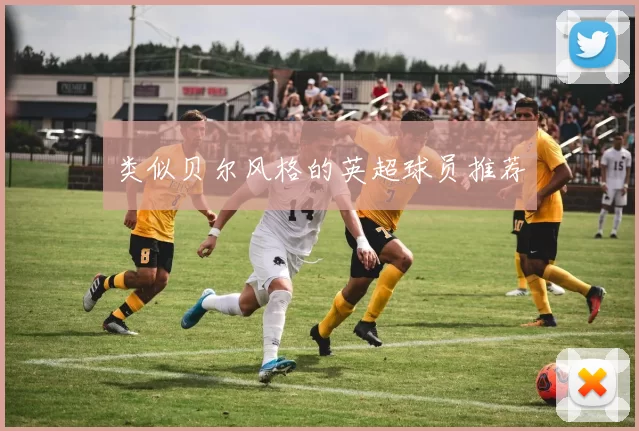 类似贝尔风格的英超球员推荐