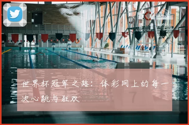 世界杯冠军之路:体彩网上的每一次心跳与狂欢