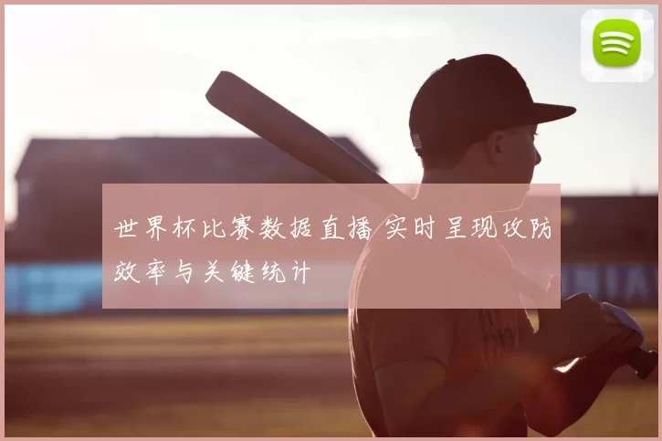 世界杯比赛数据直播 实时呈现攻防效率与关键统计