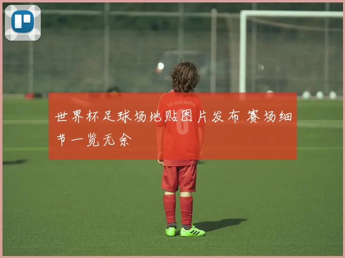 世界杯足球场地贴图片发布 赛场细节一览无余