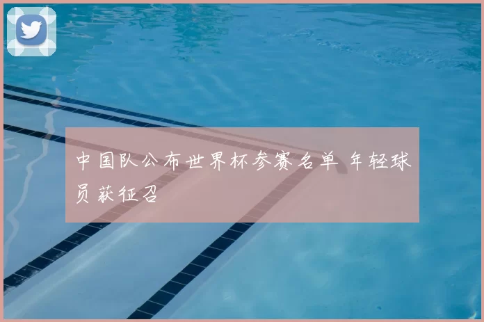 中国队公布世界杯参赛名单 年轻球员获征召