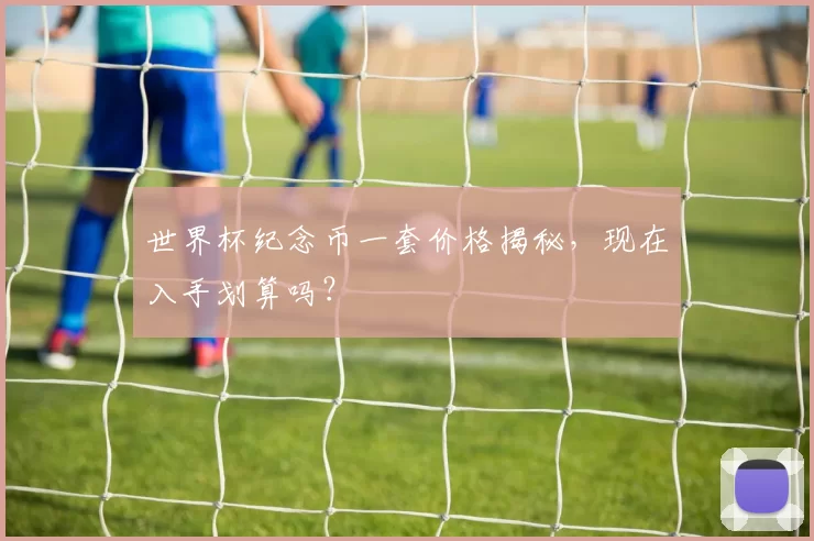 世界杯纪念币一套价格揭秘,现在入手划算吗?