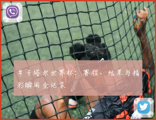 年卡塔尔世界杯：赛程、结果与精彩瞬间全记录