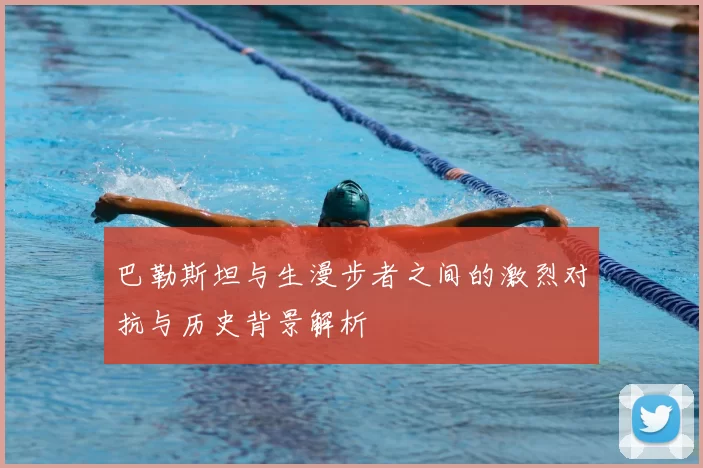 巴勒斯坦与生漫步者之间的激烈对抗与历史背景解析