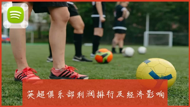 英超俱乐部利润排行及经济影响