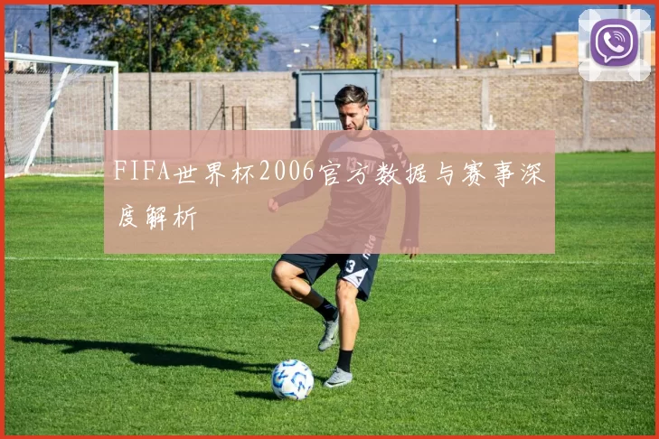 FIFA世界杯2006官方数据与赛事深度解析