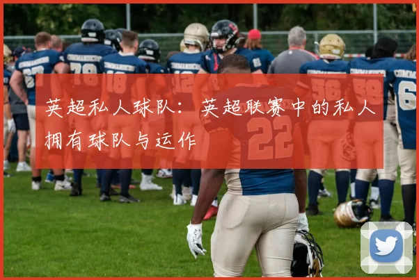 英超私人球队:英超联赛中的私人拥有球队与运作