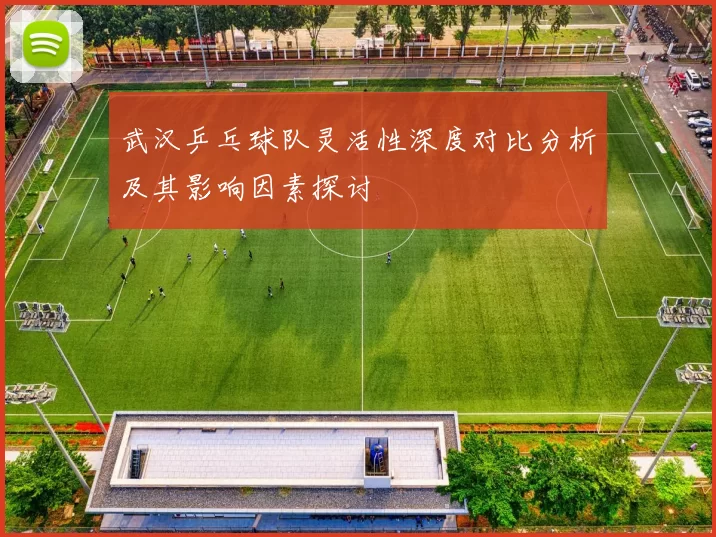 武汉乒乓球队灵活性深度对比分析及其影响因素探讨