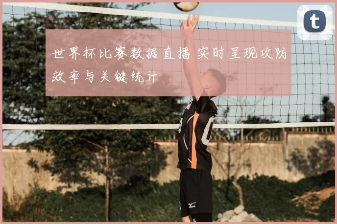 世界杯比赛数据直播 实时呈现攻防效率与关键统计