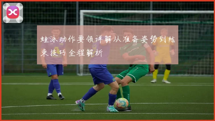 蛙泳动作要领详解从准备姿势到结束技巧全程解析