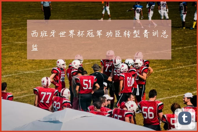 西班牙世界杯冠军功臣转型青训总监