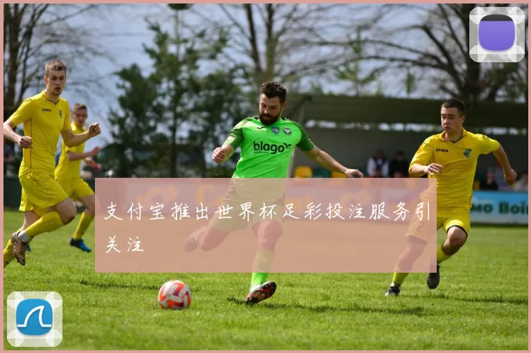 支付宝推出世界杯足彩投注服务引关注