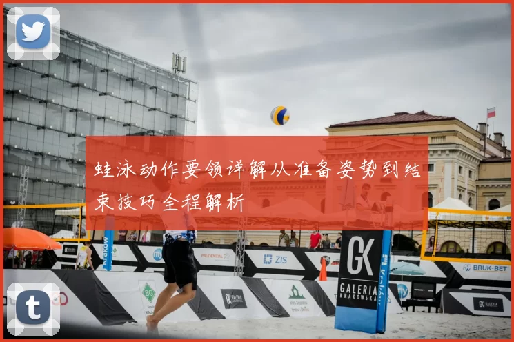 蛙泳动作要领详解从准备姿势到结束技巧全程解析