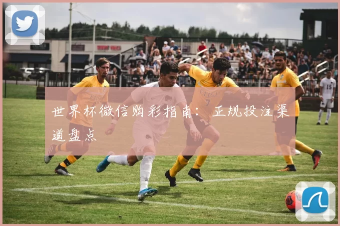 世界杯微信购彩指南:正规投注渠道盘点