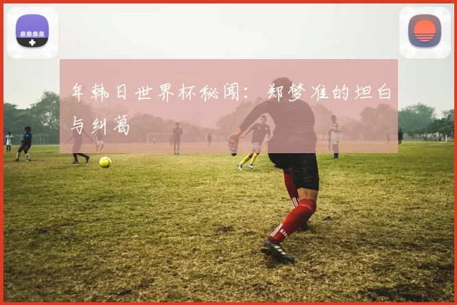 年韩日世界杯秘闻：郑梦准的坦白与纠葛