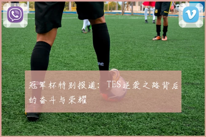 冠军杯特别报道:TES逆袭之路背后的奋斗与荣耀