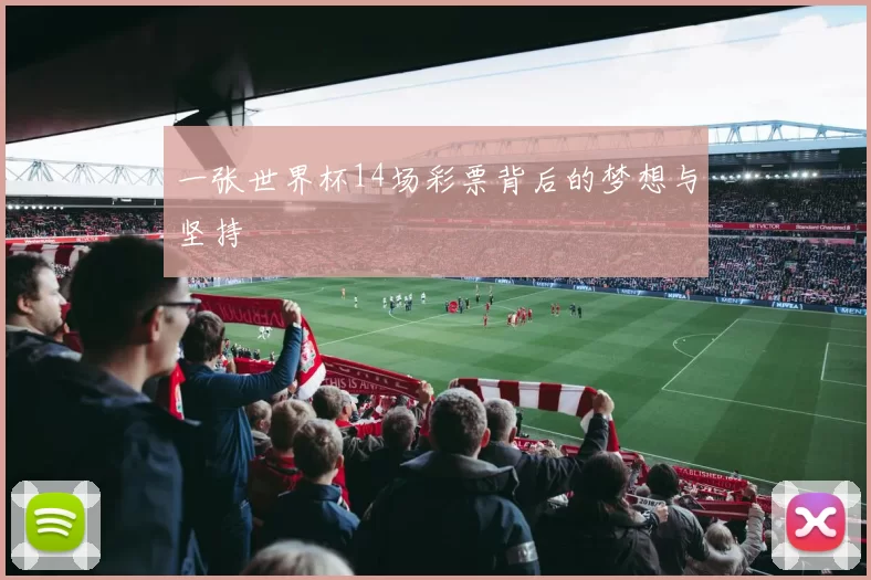 一张世界杯14场彩票背后的梦想与坚持