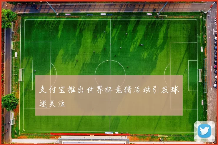 支付宝推出世界杯竞猜活动引发球迷关注