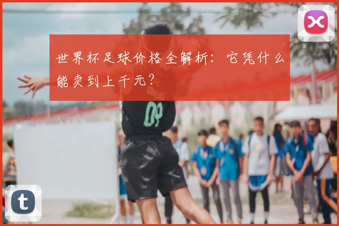 世界杯足球价格全解析:它凭什么能卖到上千元?