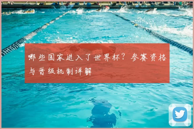 哪些国家进入了世界杯?参赛资格与晋级机制详解