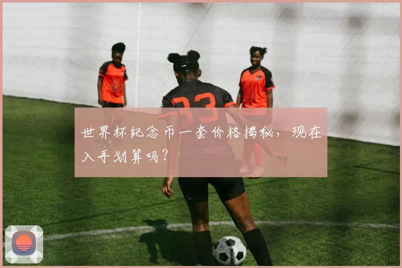 世界杯纪念币一套价格揭秘,现在入手划算吗?