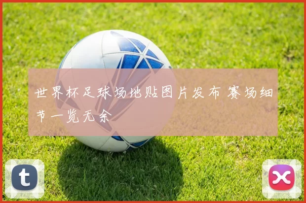 世界杯足球场地贴图片发布 赛场细节一览无余