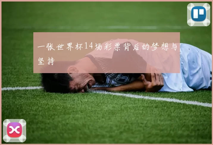 一张世界杯14场彩票背后的梦想与坚持